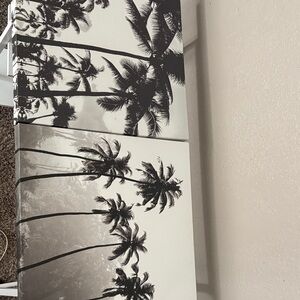 BOTH Palm Tree Canvas Wall Art in Black and White